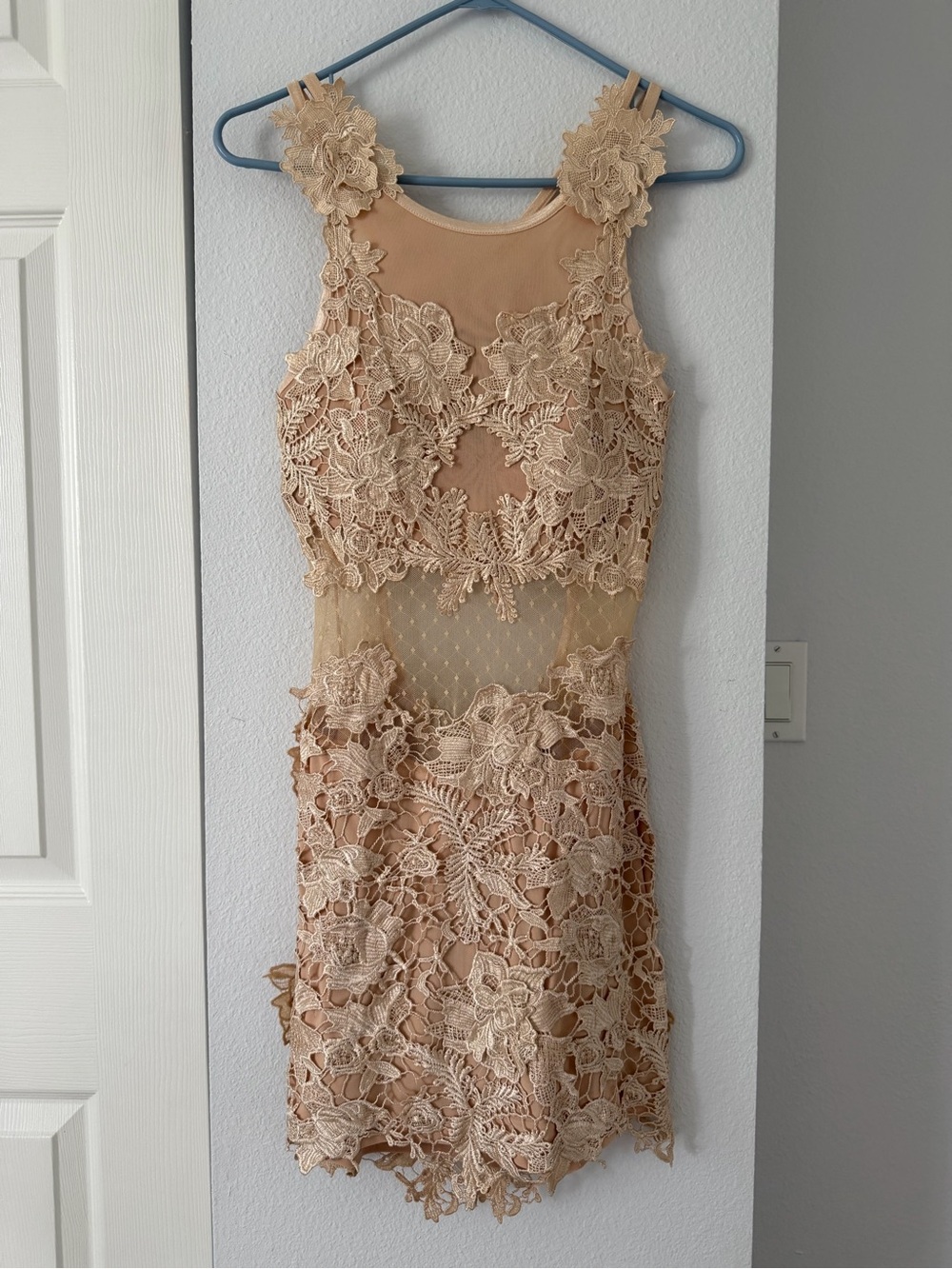 Windsor Beige Floral Lace Mini Dress